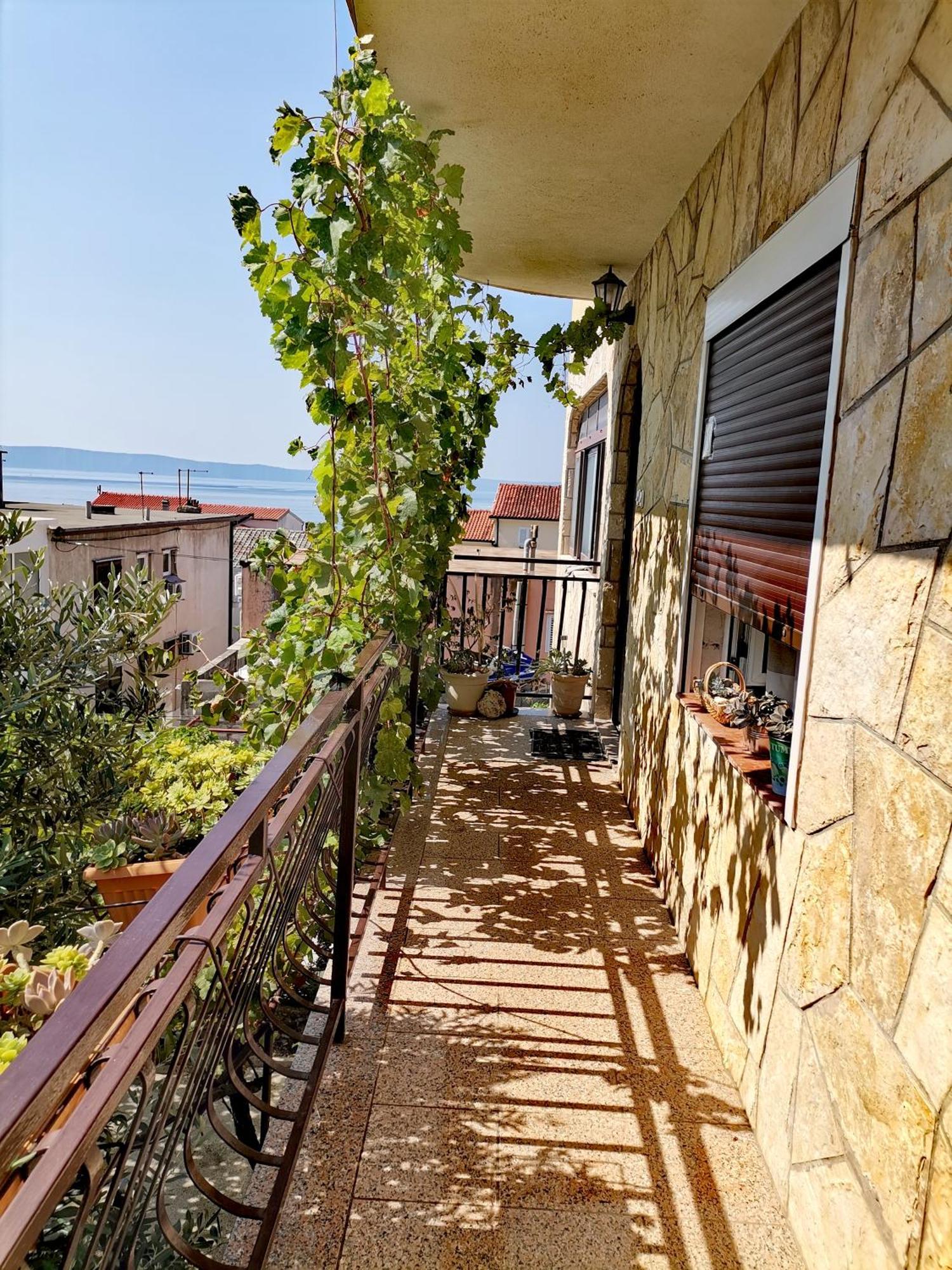 Villa Mia Makarska Kültér fotó